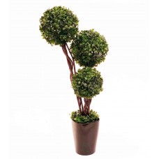 23" Leucondendron Topiary - Silk